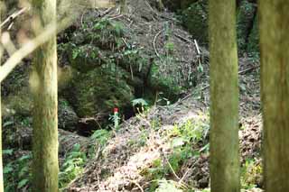 photo, la matire, libre, amnage, dcrivez, photo de la rserve,Tunnel de l'Iwami-argent-mien, La galerie, veine, Un dpt ternel, Somo