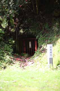 photo,material,free,landscape,picture,stock photo,Creative Commons,Tunnel of  Iwami-silver-mine, The gallery, vein, An eternal deposit, Somo