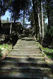 photo,material,free,landscape,picture,stock photo,Creative Commons,Arsenical rat poison from Iwami-silver-mine Sahimeyama Shrine, stone stairway, torii, Mt. Sanbe-san, Mountain god