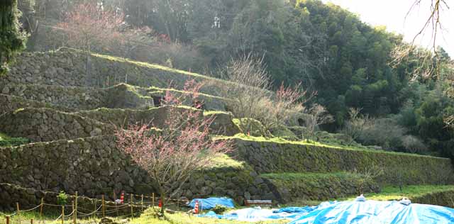 photo, la matire, libre, amnage, dcrivez, photo de la rserve,Poison du rat arsenical d'Iwami-argent-mine trace de laboratoire Shimizudani, Ishigaki, Affinage, le mien, Fukuishi dposent