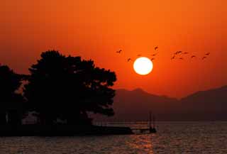 fotografia, materiale, libero il panorama, dipinga, fotografia di scorta,Il sole di setting di Lago Shinji-ko, Il sole, La superficie dell'acqua, Isola di sposa, 100 selezioni di sole di setting giapponese