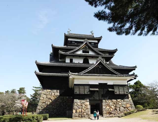photo,material,free,landscape,picture,stock photo,Creative Commons,The Matsue-jo Castle castle tower, cherry tree, Piling-stones, castle, Ishigaki
