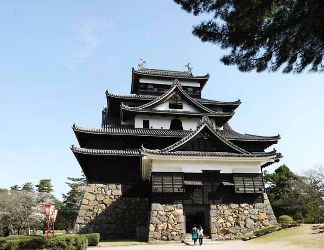 Foto, materiell, befreit, Landschaft, Bild, hat Foto auf Lager,Das Matsue-jo Burgburgturm, Kirschenbaum, Drngen-Steine, Burg, Ishigaki