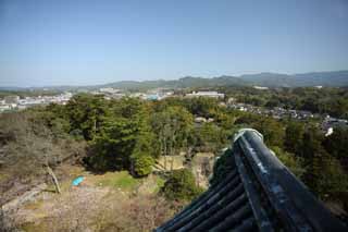 photo,material,free,landscape,picture,stock photo,Creative Commons,The Matsue city, roof tile, building, pine, blue sky