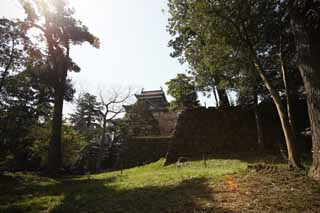 Foto, materieel, vrij, landschap, schilderstuk, bevoorraden foto,De Matsue-jo Kasteel kasteel toren, Pijnboom, Heiwerk-Stones, Kasteel, Ishigaki
