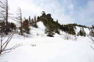 Foto, materieel, vrij, landschap, schilderstuk, bevoorraden foto,Kusatsu Mt. Shirane besneeuwd veld, Boom, Blauwe lucht, Hoge berg, Gedaante van een boom