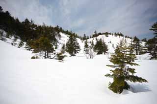 Foto, materiell, befreit, Landschaft, Bild, hat Foto auf Lager,Kusatsu Mt. Shirane schneebedecktes Feld, Baum, blauer Himmel, hoher Berg, Form eines Baumes