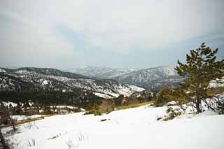 Foto, materiell, befreit, Landschaft, Bild, hat Foto auf Lager,Kusatsu Mt. Shirane schneebedecktes Feld, Baum, blauer Himmel, hoher Berg, Form eines Baumes