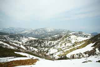 fotografia, material, livra, ajardine, imagine, proveja fotografia,Kusatsu Mt. Shirane campo nevado, rvore, cu azul, montanha alta, Forma de uma rvore