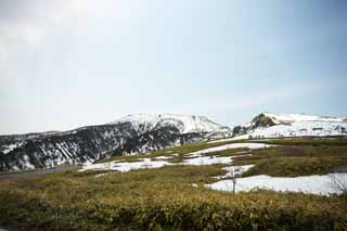 photo,material,free,landscape,picture,stock photo,Creative Commons,Kusatsu Mt. Shirane snowy field, tree, blue sky, high mountain, Shape of a tree