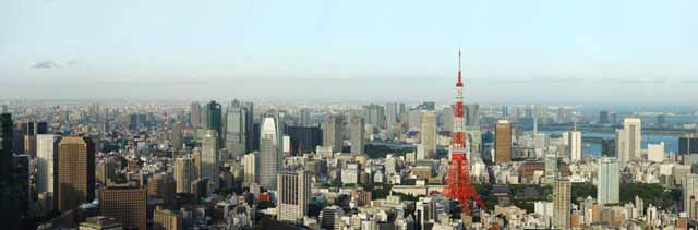 foto,tela,gratis,paisaje,fotografa,idea,Tokio entero opinin, Tokyo Tower, Edificio alto, Baha de Tokio, La rea del centro de la ciudad